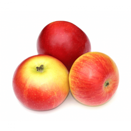 n1_22502372.png