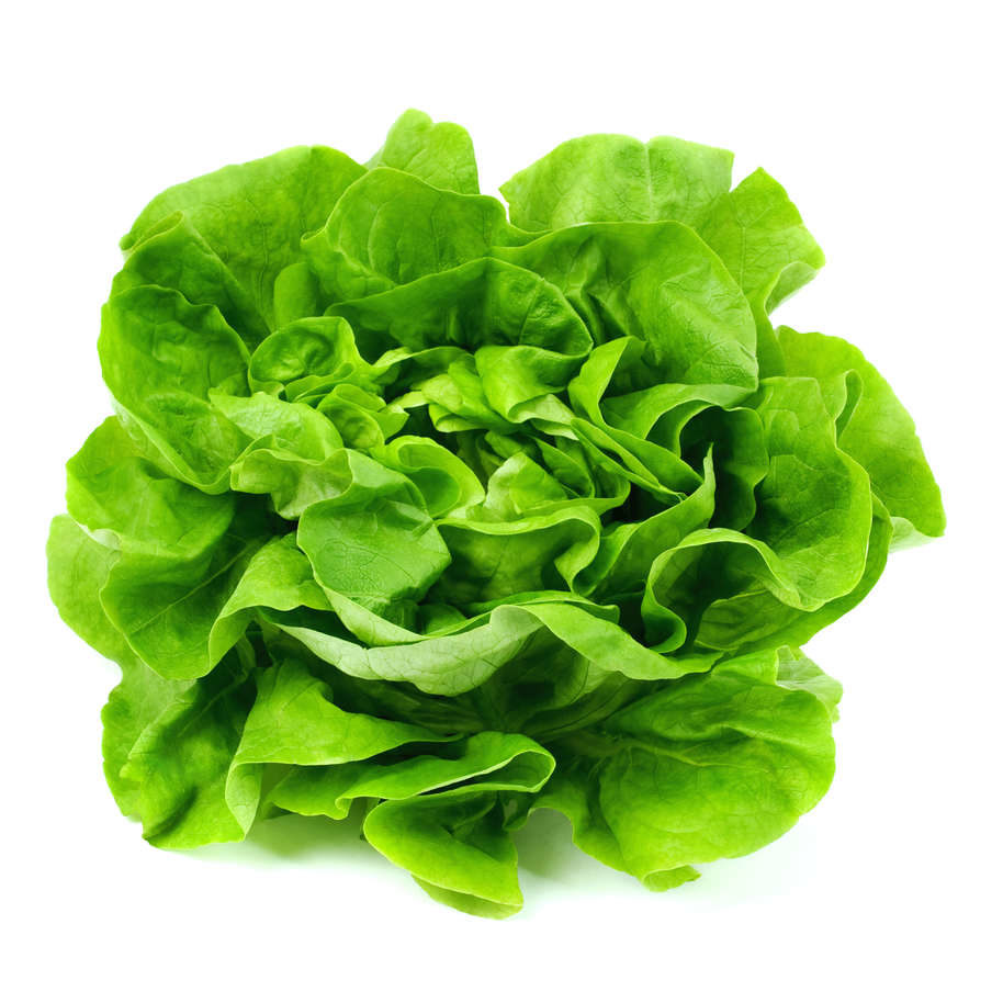 Salata verde 2 bucati (15.09 livrare)